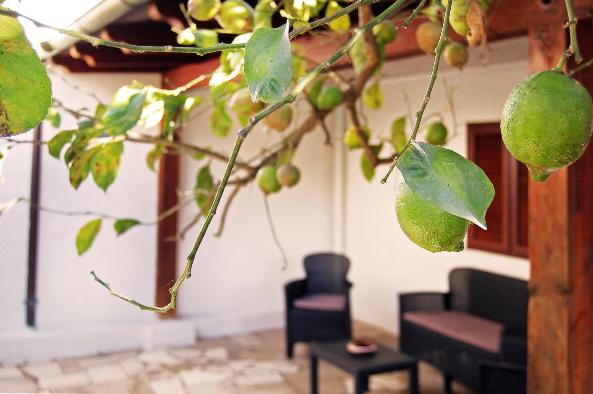 Sea Breeze Villa - Luna Apartment บารี ภายนอก รูปภาพ